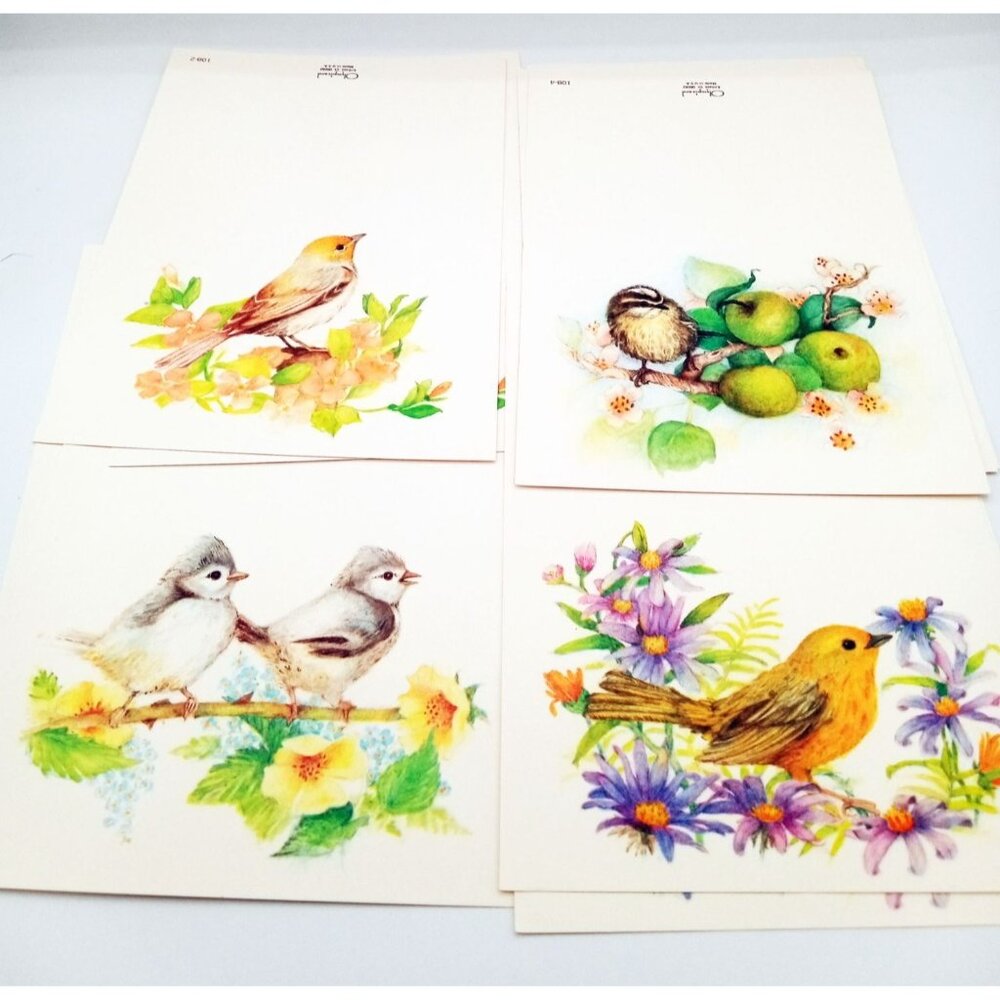 Vintage Bird Greeting Cards Olympicard Envelopes USA Art Lot of 9  3.75 x 5.25